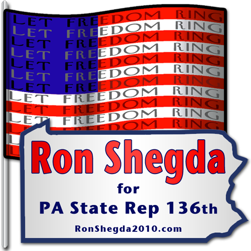 Logo for Ron Shegda Campaign Buttons